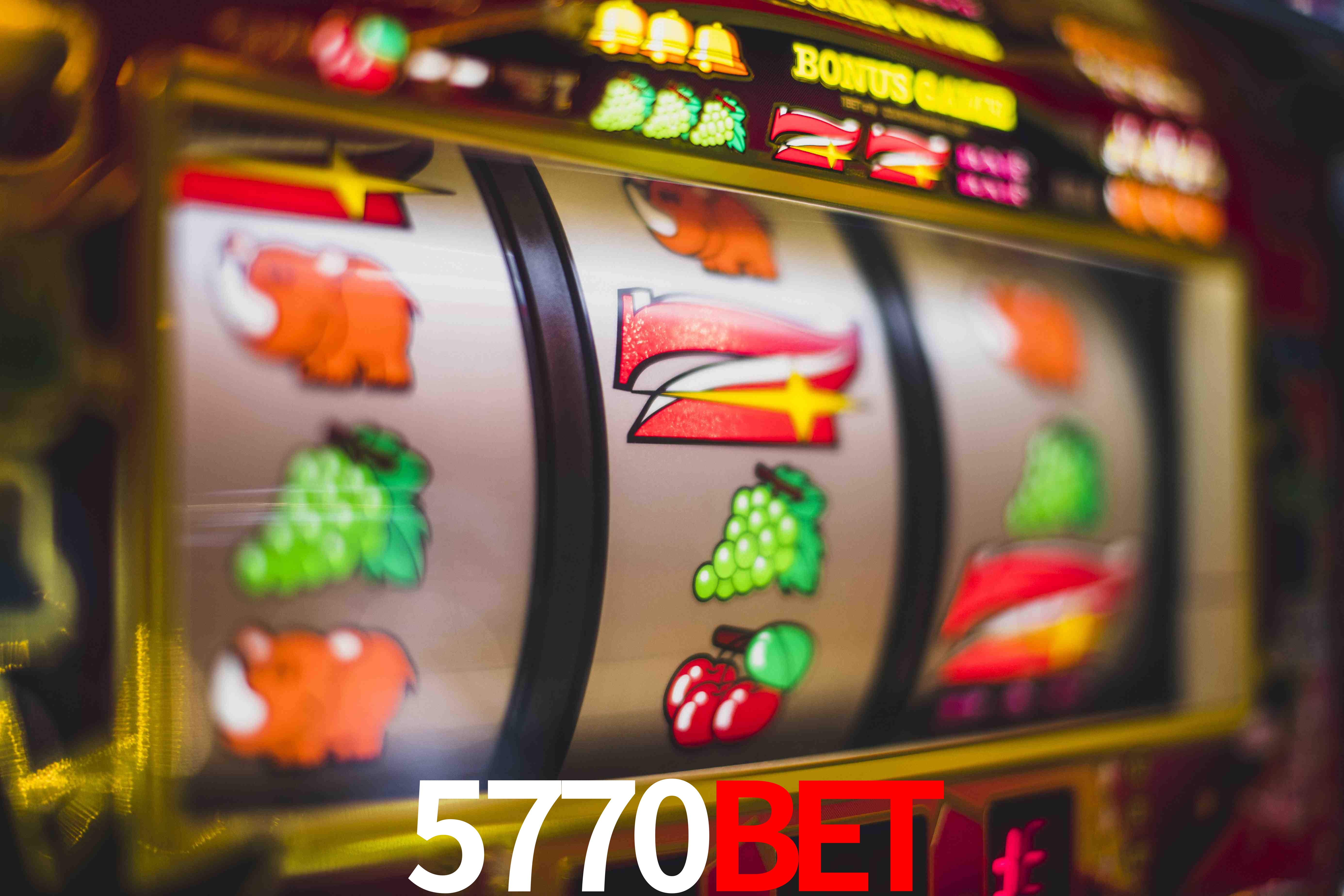 Sports Statistics 5770bet